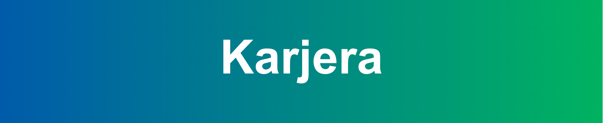 Karjera